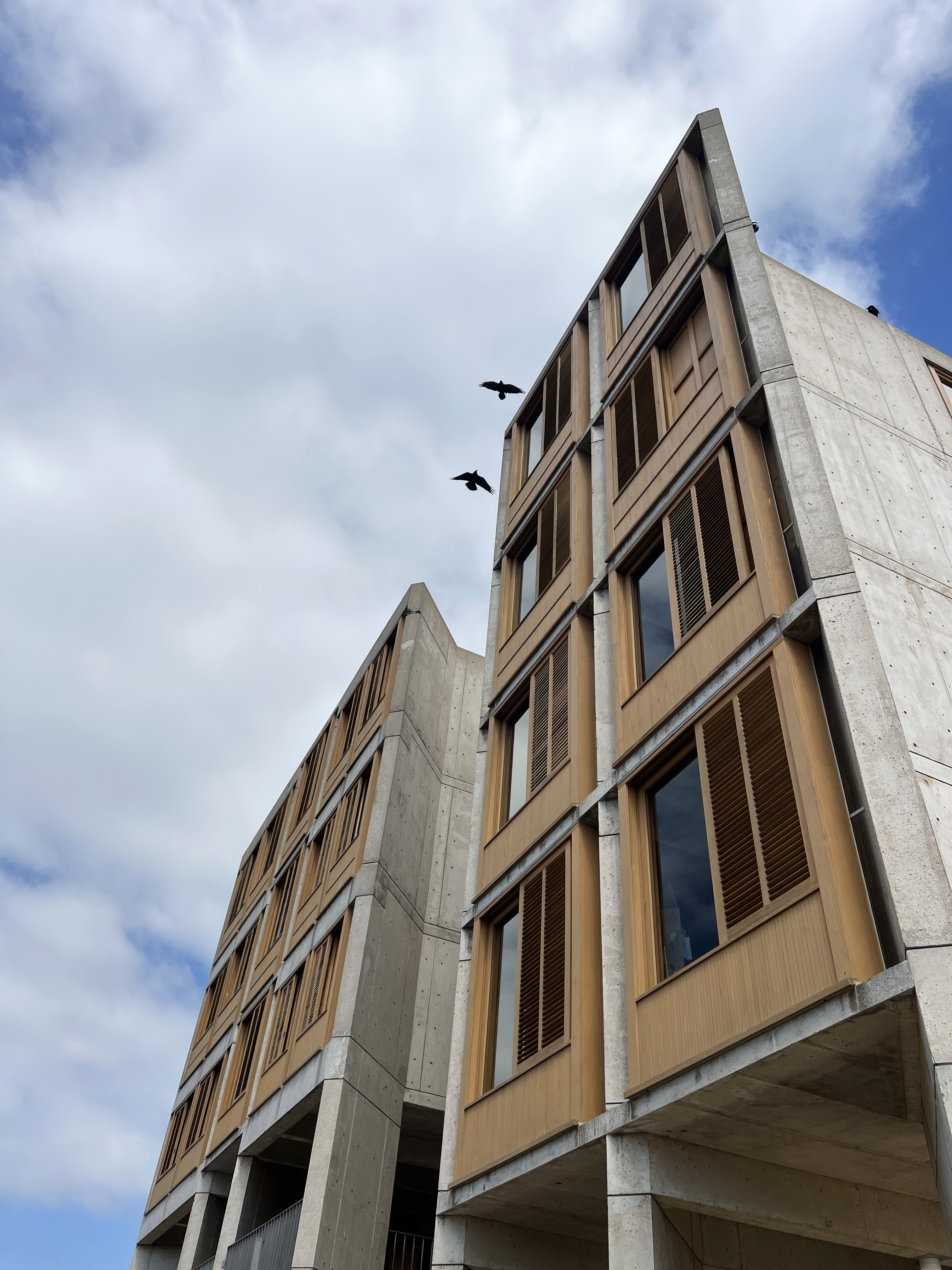 Salk Institute architecture, with two birds in flight.