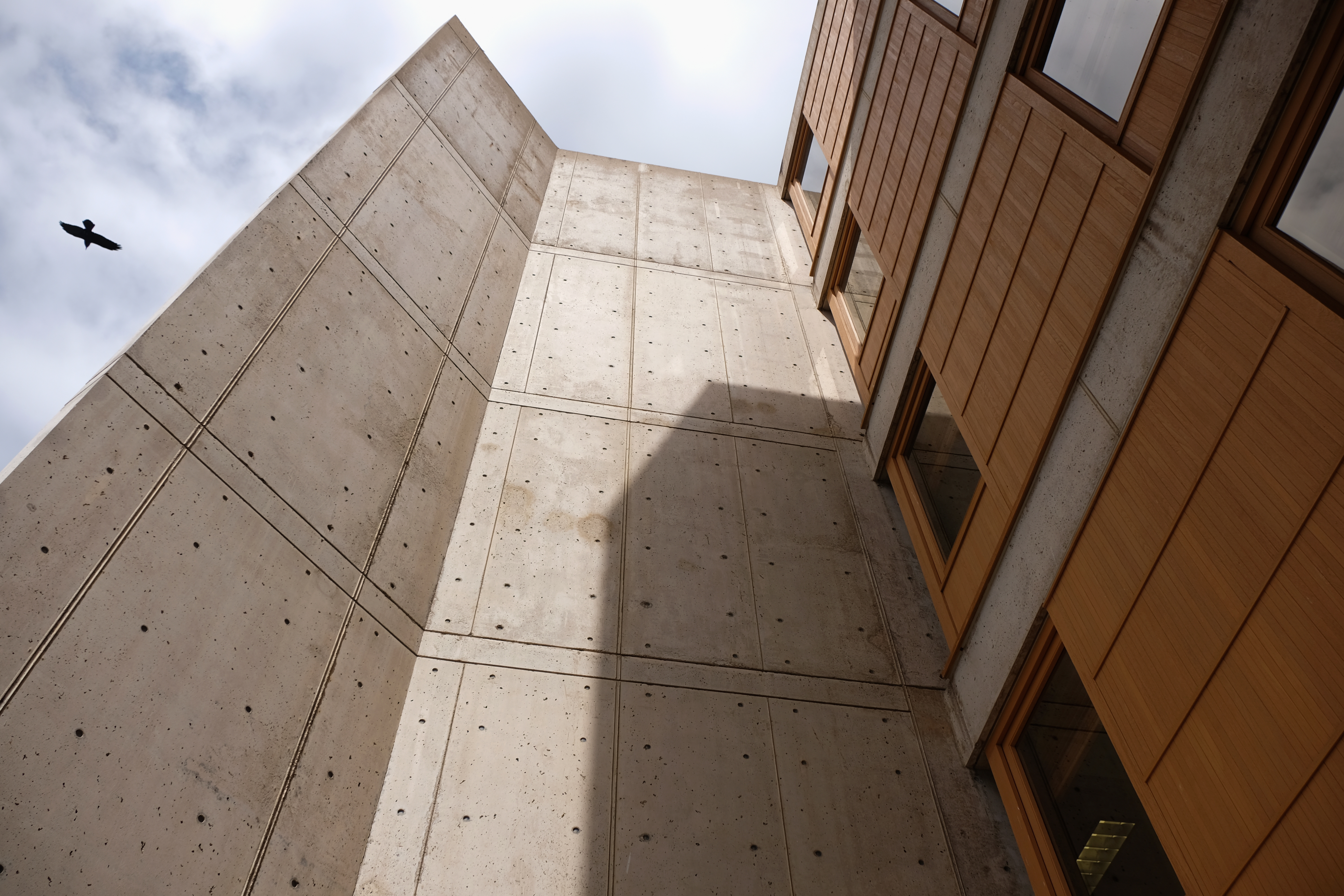 Looking up at the Salk Institute's concrete walls with a bird mid-flight.